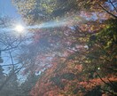 九星気学を用いて鑑定を致します 本来お持ちの性質とバイオリズムを知るだけで生きやすくなります イメージ2