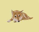 柔らかいイラストを描きます オリジナルキャラから動物、人まで イメージ4