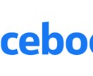 Facebook広告・インスタ広告の運用代行します 【オーダーメイドプラン】あなたに合わせたプランを設計します イメージ1