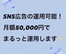 SNS全般の広告運用を対応します ノウハウもお渡し可能です！！！ イメージ1