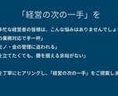 モニター価格：プロコンサルが経営戦略を提案します プロコンサルが経営戦略とマーケティング戦略をご提案します イメージ3