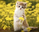 人生いろいろ〜♪ありますよね！！！話聞きます 愚痴★悩み★相談事など、なんでも聞きます！！！ イメージ3