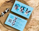 ３頭対応【うちの子名刺】を制作します ひときわ目を惹くペット名刺、プロデザイナーへお任せ下さい イメージ1