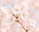 リアルなAI画像を制作＆生成ノウハウも伝授ます AI初心者さんも安心✨一緒に理想の画像を作りましょう！ イメージ2