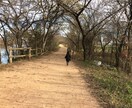 聞かせてください、あなたの気持ちを受け止めます 悩みが解決するか分かりません、でも温かい時間がここにあります イメージ4