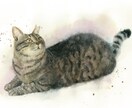 ふんわりやさしい水彩画でペットの似顔絵を描きます ｜インテリアやプレゼントに ｜犬・猫・小動物や鳥さんもOK♪ イメージ4