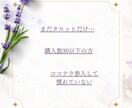 占い師様専用♡迷いや分からない事出品サポートします 3年4000件コンサル♡占い師様専用✨優しく出品者様サポート イメージ2