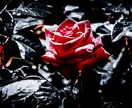 あなただけのお気に入りの１枚を提供します あなただけのオリジナルがあります。 イメージ6