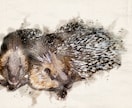 うちの子をふんわり可愛い水彩調のイラストにします 写真から、心温まる水彩アートへ。ペットとの思い出を永遠に イメージ5
