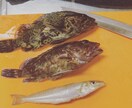 釣り教えます 初めての方や、もっとうまくなりたいかたに。 イメージ5