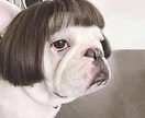 Twitterリツイート数をプロモーションします Twitterリツイート数＋50増えるまで宣伝します。 イメージ5