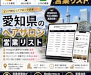 営業しやすい愛知県のヘアサロンリストを売ります インスタ運用・Web制作・LINE構築向け厳選リスト① イメージ1