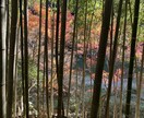 恐怖体験お話します 心霊体験や不思議体験、周りの人に起こった話をお伝えします。 イメージ1