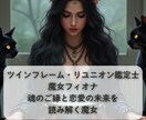 ワンポイント・ツインフレームリユニオン診断します 相手との魂のご縁を簡易診断します イメージ8