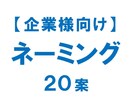 企業様向け　高品質な【ネーミング２０案】書きます １００案以上の中から、効果的な２０案を選ぶ。それがプロの技。 イメージ1