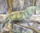 あなたの絵、お子様の絵を上達させます 超初心者向けの描画についての相談・添削 イメージ2
