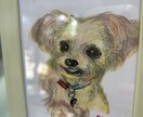 うちの子、お空ぐみの子、を可愛く描きます 可愛くフリーハンド、色鉛筆等でポストサイズからA4判サイズ イメージ4