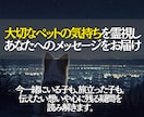 大切なペットの気持ちを霊視で読み取りお伝えします 写真を通してペットの想いに寄添い飼い主様へメッセージをお届け イメージ3