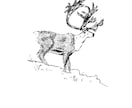 手描き感がかっこいいカットイラスト描きます 程よくリアルタッチなディテール細かい線画のカットイラスト イメージ3