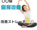 脱猫背！後ろ姿を綺麗にカッコ良くします 自宅でできるあなたに合わせたオーダーメイドのプログラム提供 イメージ3