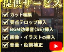 視聴者を逃さない！YouTube長尺動画制作します 実績豊富なプロにお任せ！初めての方でも安心のサポート イメージ2