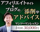 アフィリエイトのプロがブログを添削します 1時間3万円で、ブログ添削しアフィリエイトのアドバイス！ イメージ1