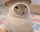なんでもいいから話を聞いて欲しい方お話聞きます どんなお悩みや愚痴でも大丈夫！吐き出してスッキリしませんか？ イメージ1