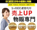 リリース記念価格 EC運営1ヵ月間運営代行します 楽天/amazon/ヤフー 売上 集客 SEO 広告 対策 イメージ1