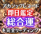 アカシックで今後1年間の総合運を読み解きます 仕事・恋愛・金運・人間関係｜1年間の流れを即日5千文字で鑑定 イメージ1