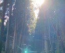 電話相談、相槌、共感します 相槌、共感はしますが、否定やアドバイスはできかねます！ イメージ2