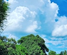 夏らしい写真お届けします 夏らしい入道雲の写真を撮りました！ イメージ1