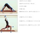 写真からアサナ(ヨガポーズ)の指導をします ヨガイントラ養成講師によるアドバイスでSNS映えもバッチリ！ イメージ10