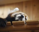 お互いがより幸せになるためにお手伝いをします 感情ぐちゃぐちゃになってませんか？一緒に紐解いていきましょう イメージ1