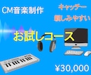 広告、PR、CMソング、音楽を制作いたしますます プロが作る、キャッチーで耳に残る歌、親しみやすい楽曲 イメージ1