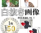 1枚50円 画像の面倒な画像の切り抜きいたします 白背景、透過どちらもOK！おまかせください！ イメージ1