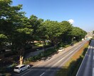 東京都内とその近郊のスナップ写真を撮影します スマホ写真から一眼カメラの高画質画像まで何でもＯＫ イメージ3