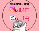 TikTok,インスタ等FW3000人獲得します 楽してSNSでの認知度アップ！！ イメージ1