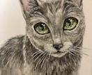 ワンちゃん猫ちゃんを透明水彩と色鉛筆で描きます ペットとの思い出をイラストに残しませんか イメージ1