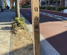東京散歩を代行します あなたの代わりに東京を歩いて写真・動画でレポートします イメージ6