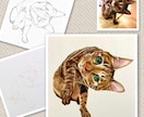 猫限定＊アナログ絵でうちの子ペット似顔絵描きます 額付きのアナログ絵。色の塗り重ねで優しく深みがあります イメージ4