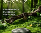 ECショップ向けの商品PR動画を制作します Shopify・BASE・STORESなどECショップ対応 イメージ7