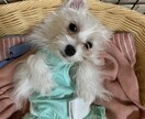 年齢問わず色々な雑談や相談に乗っております 共感する事ができるのが自分の強みだと感じております イメージ4
