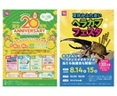 先着10名】チラシポスター5000円〜制作します "伝わる"デザインで集客をサポート｜微修正無制限・短納期可 イメージ4
