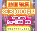 初回価格3本分の動画3,000円で動画編集します あなたのブランディングを第一とした動画編集をします！ イメージ1