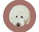 写真からペットのイラストを作ります 犬、猫、その他の動物も大歓迎です！ イメージ3