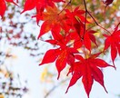 心の核心を霊視で読み取ります 霊視で本質を捉え、必要な気づきをお伝えします イメージ4
