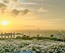 あなたの話を聞きます 悩み、相談、愚痴、惚気、とにかく話を聞いて欲しい。なんでも イメージ2