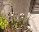 宗教被害者として悲惨な経験を共感しあえると思います 今、あちこちで多発している宗教関連事件。泣き寝入りしないで… イメージ1