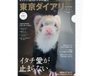 ファッション雑誌の表紙っぽいクリアファイル作ります とっておきの写真であなたのペットを雑誌デビューさせよう！ イメージ5