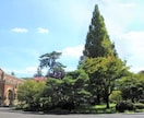 一橋法科大学院合格者が受験相談に乗ります 法科大学院受験の戦略や志望校選定など包括的サポートします イメージ1